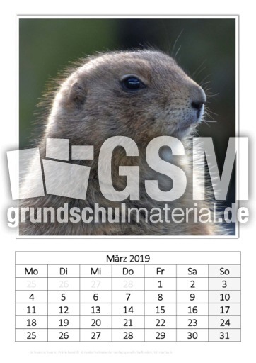 März_Schwarzschwanz-Präriehund.pdf